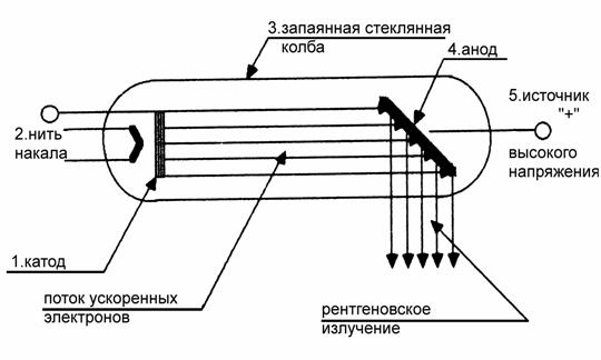 Лекция